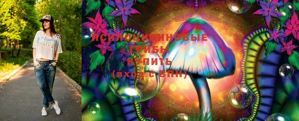 трава Кодинск