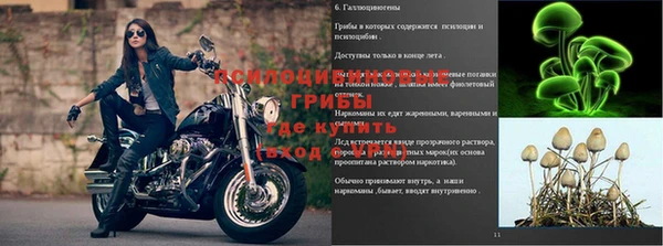 амфетамин Гусев