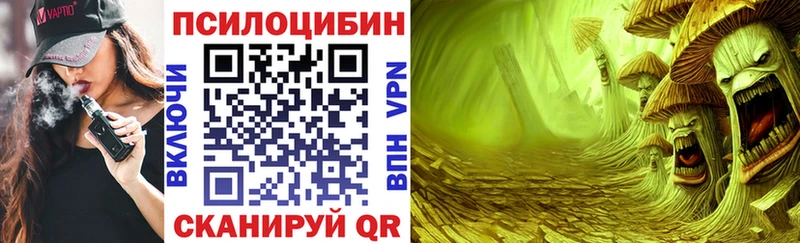 Галлюциногенные грибы GOLDEN TEACHER  Заозёрный 